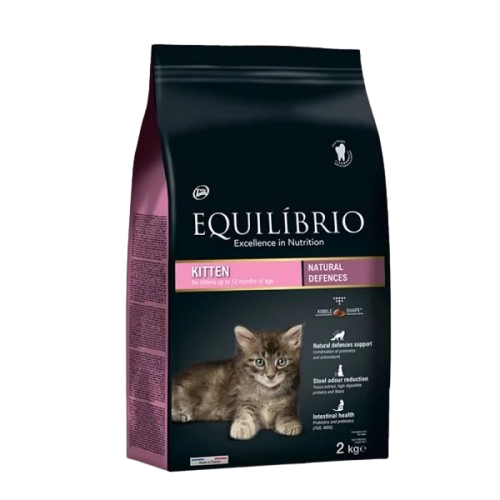 Equilibrio Cat Kitten