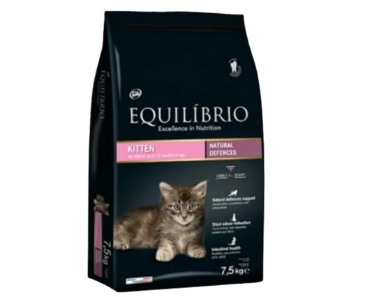 Equilibrio Kitten Cat